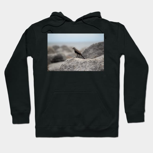 Bird On A Rock By The Sea Hoodie by Cynthia48